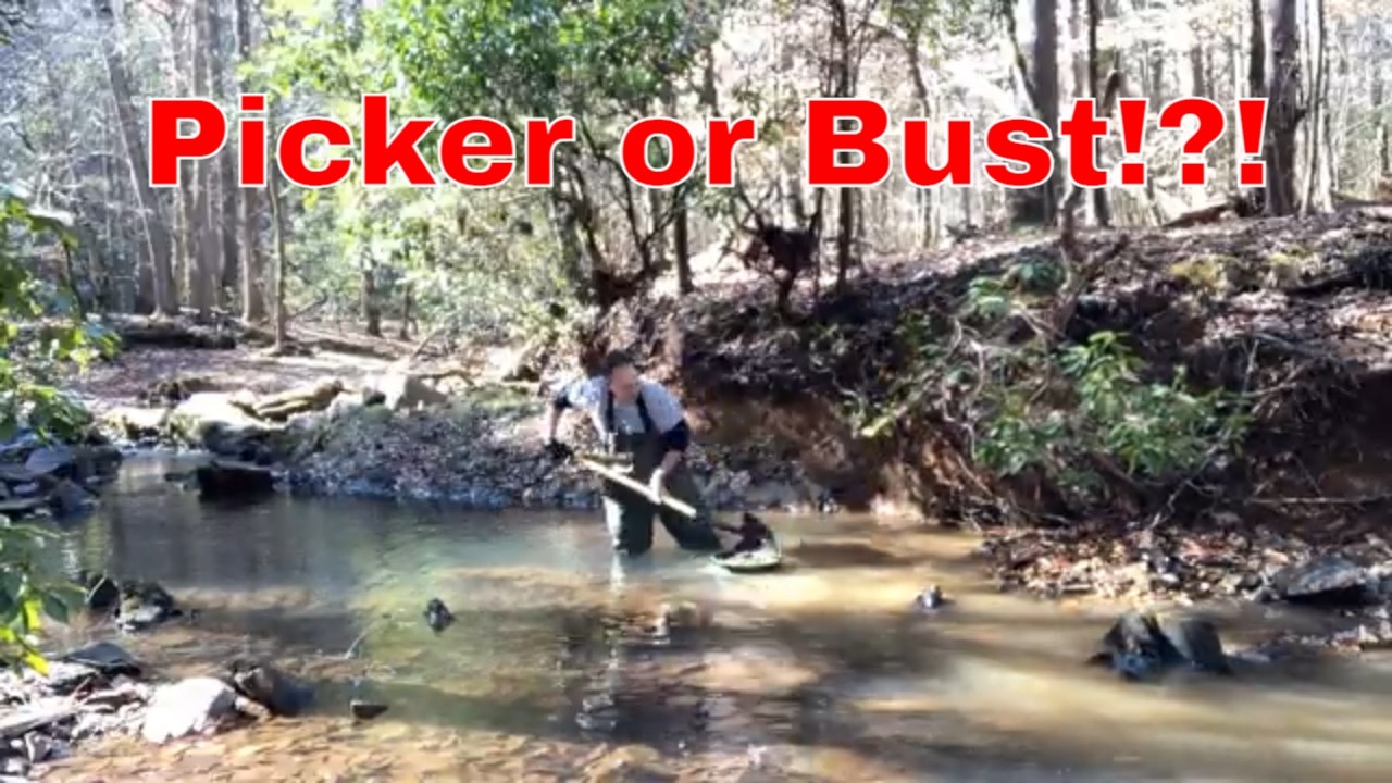Picker or bust! Digging by a snake hole. Uwharrie Gold prospecting.