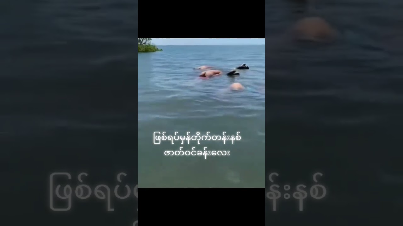 Should I laugh or cry at this scene? #ngmyofunny #titanic #myanmar