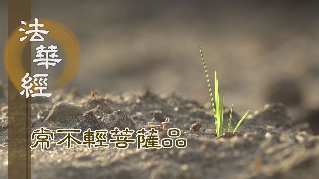 【靜思妙蓮華】 法華經常不輕菩薩品 - 宏世勤學 願利人群 - 第1761集 (ENG CC) 20240911