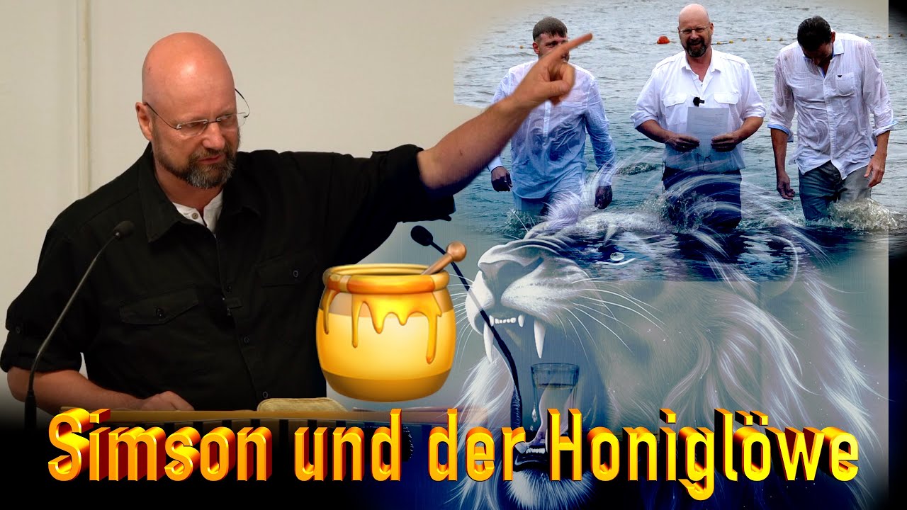 Simson und der Honiglöwe!