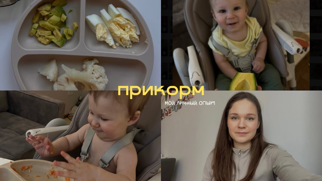 ПРИКОРМ - мой личный опыт