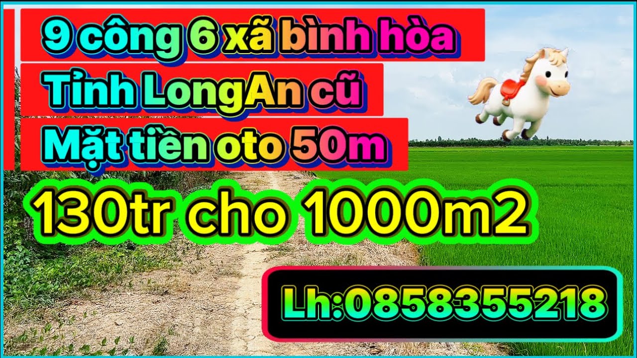 9 công 6 xã bình hòa tỉnh LongAn cũ mat tiền oto 50m 130tr cho 1000m2 lh0858355218#batdongsan 