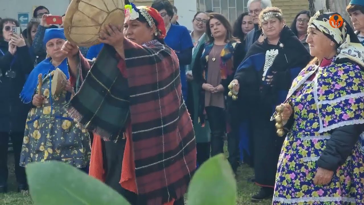 Instalando un Chemamull, Instituto Psiquiátrico honra a los antepasados y a los pueblos originarios