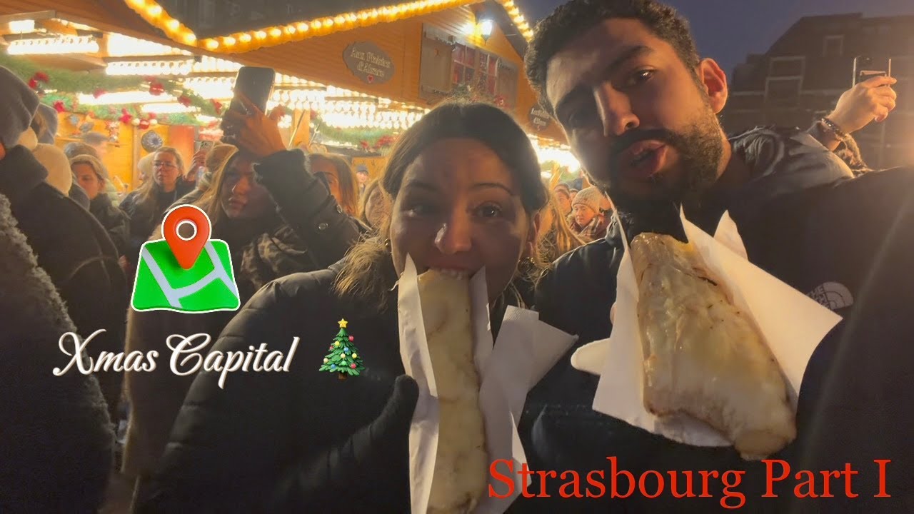 Roadtrip to the Capital of Christmas - Strasbourg with Our German Shepherd