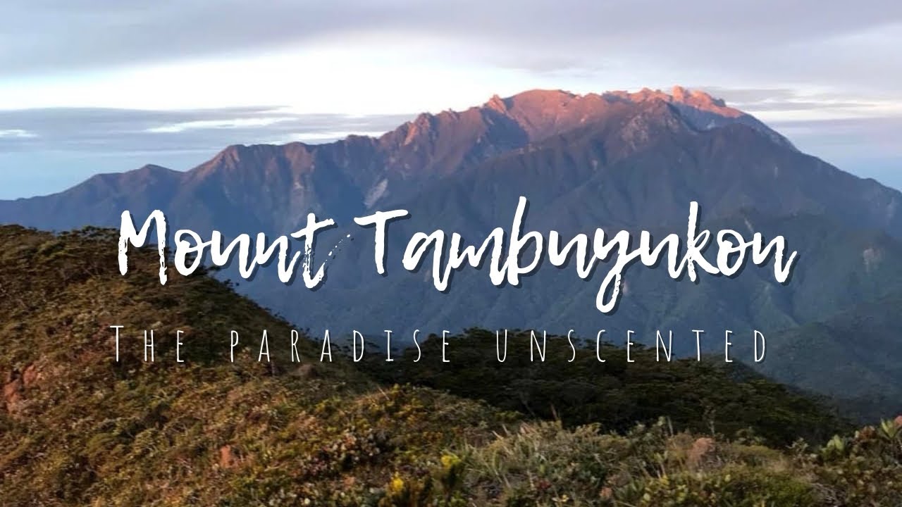 Mount Tambuyukon [ Malaysia 4th Highest Mountain ] - Aturan Outdoor