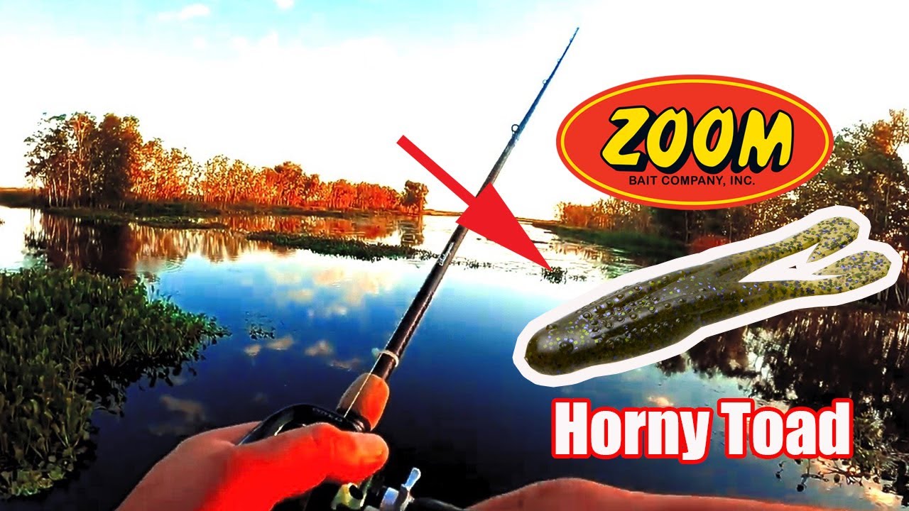 Bass Fishing Tips (How To Fish A Frog)