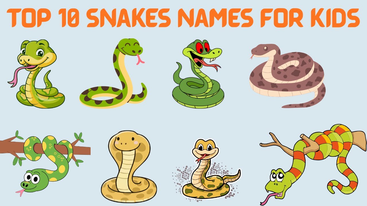 Snacks Names for Kids 🍿🍪 | Learn Snacks Vocabulary | Kids Learning Video #kids