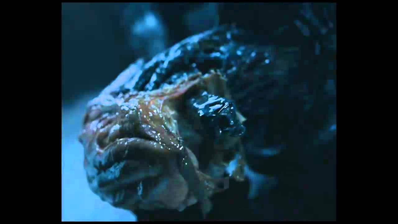 AVP Deleted Scene: Predator Humor + Predator Split up Story ٩(͡๏̯͡๏)۶
