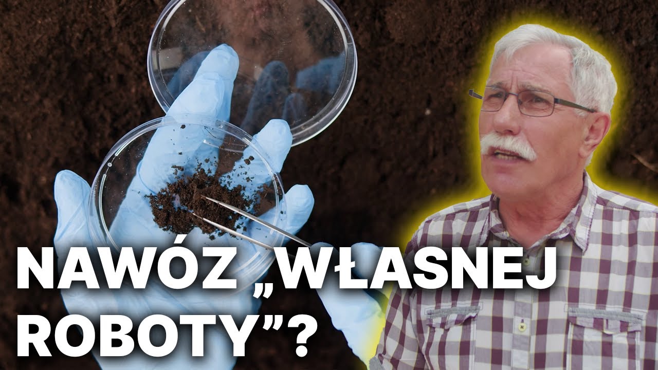Naw&oacute;z 