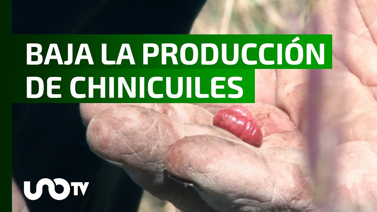 Temen en Hidalgo que el Cambio Climático afecte la producción.