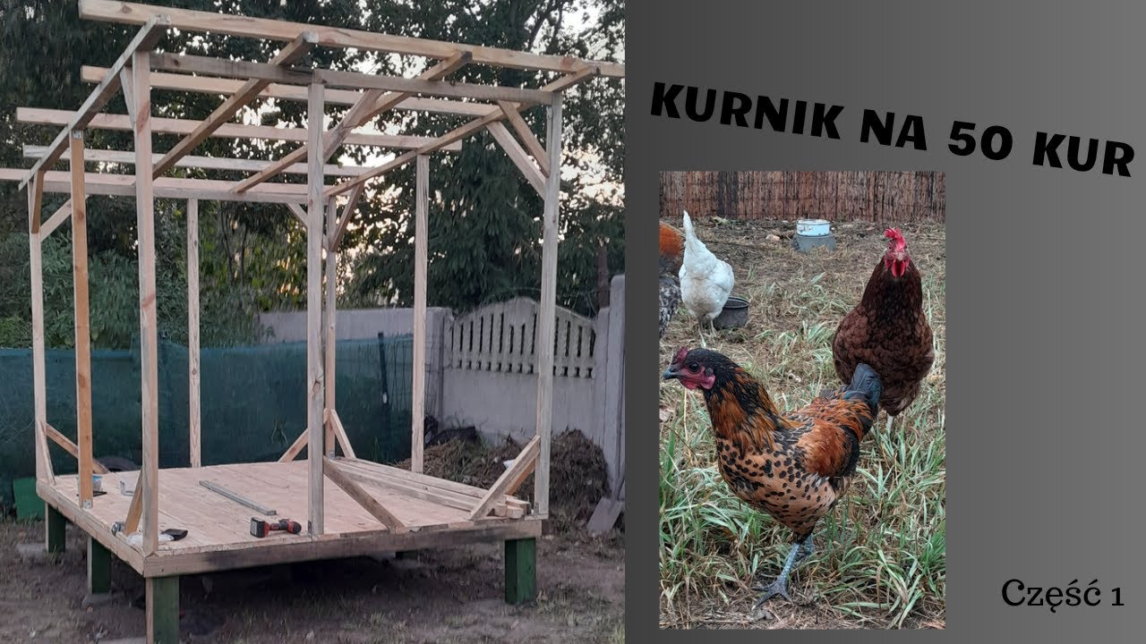 Budowa Drewnianego Kurnika Na 50 Kur || część 1