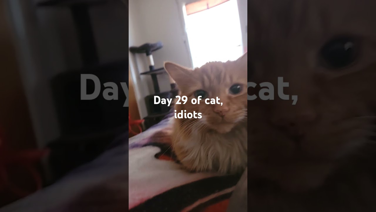 he'em loaf