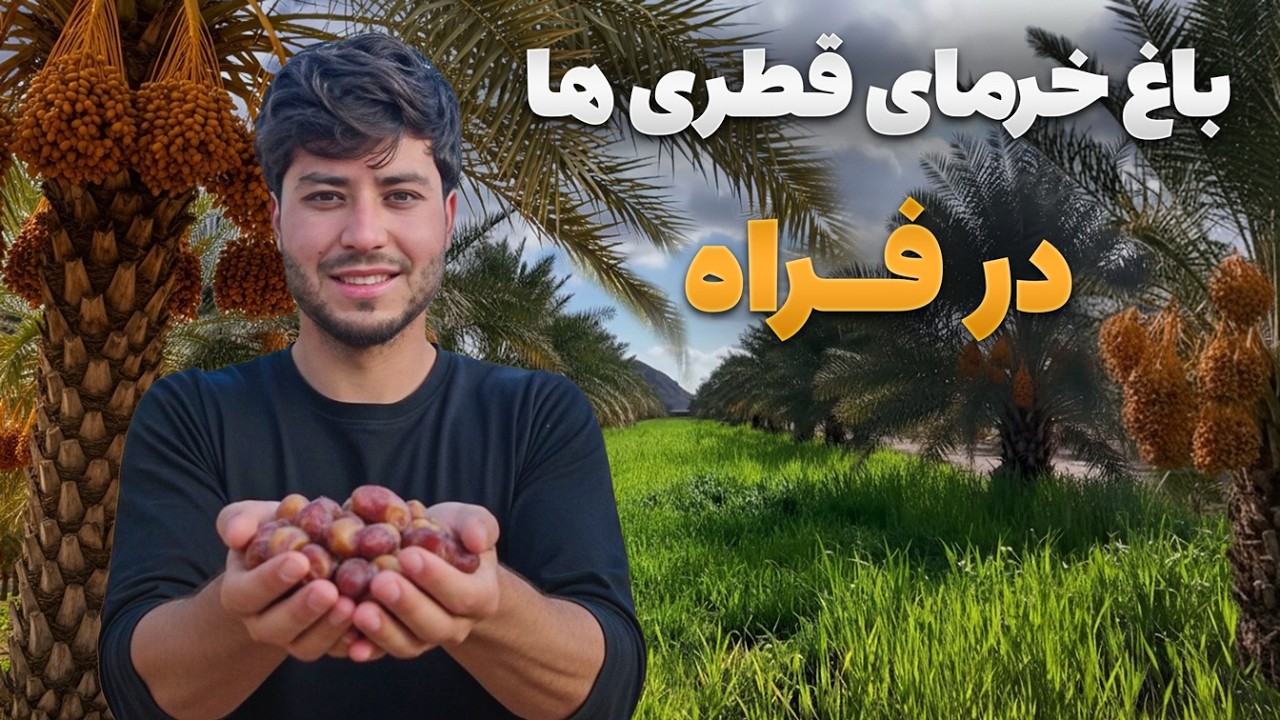 سفر با ظفر - دیدار سمیع الله ظفر از برگترین باغ خرمای قطری ها در ولایت فراه