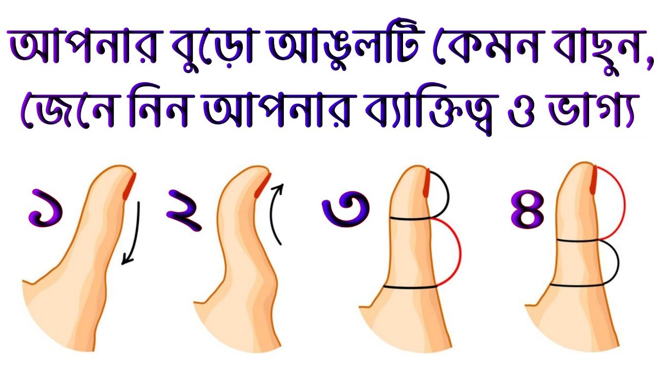 আপনার হাতের বুড়ো আঙুলটি কেমন বাছুন আর আপনার ব্যাক্তিত্ব ও ভাগ্য কেমন জেনে নিন..