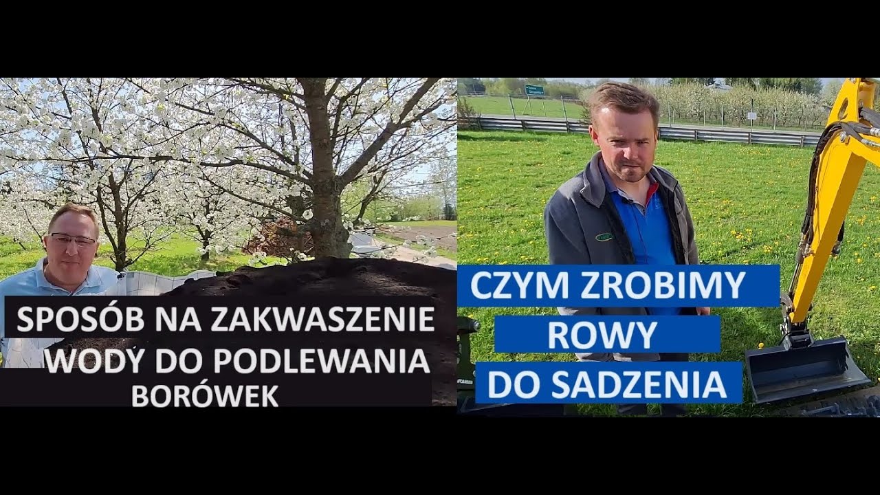 Sposób na Zakwaszanie Wody do Podlewania Borówek a Także Prezentacja Koparki Przed Kopaniem Rowów