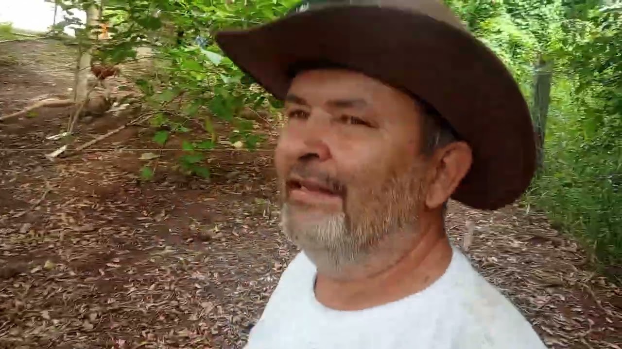 Montando a cerca do Galinheiro - Vida na Roça