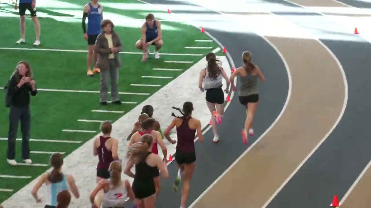 TN Indoor State 800 Gabs