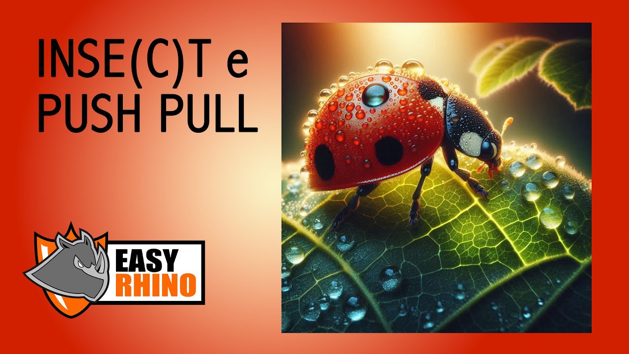 INSET e PUSH PULL