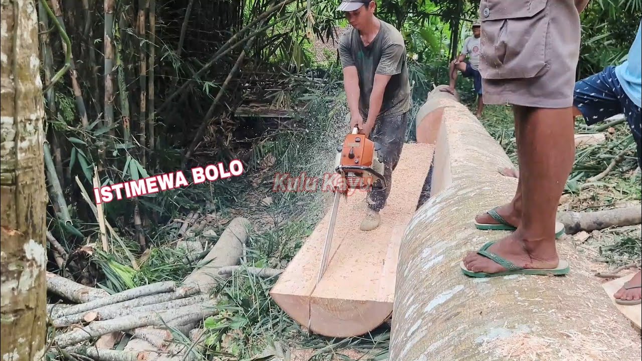Joss‼️sangat istimewa kayunya