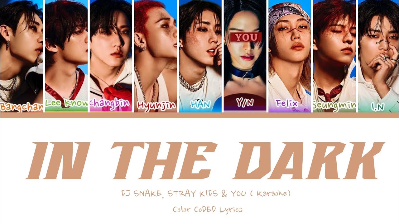 Stray Kids (스트레이 키즈) & YOU AS A MEMBER | IN THE DARK| [Karaoke] Color Coded (EASY LYRICS)