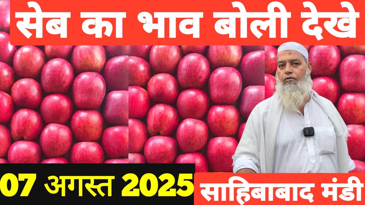 7 August 2025 🍎सेब का भाव साहिबाबाद मंडी दिल्ली एनसीआर |today apple rates #mandirates #apple #fruit