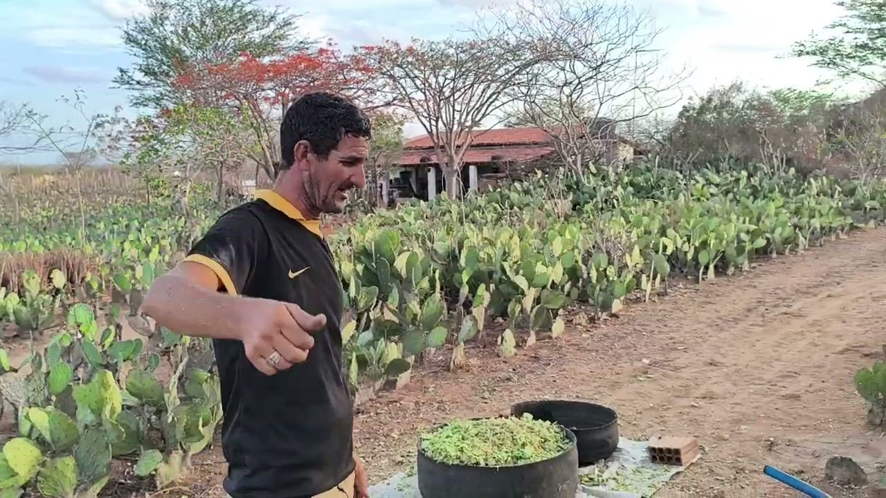 Benedito mostra mais um dia de moenda
