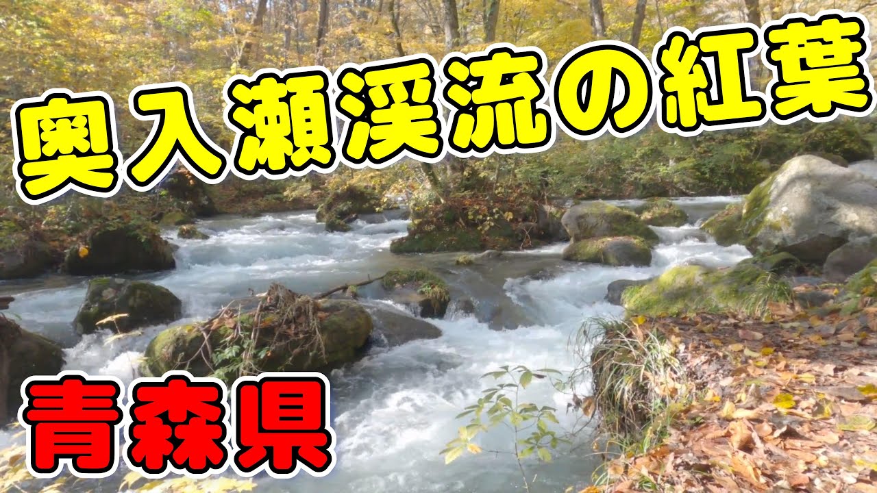 【青森県奥入瀬渓流の紅葉！】2025/10/30＃十和田八幡平国立公園＃奥入瀬渓谷ドライブ＃石ヶ戸＃馬門岩＃阿修羅の流れ＃雲井の滝＃盛岡冷麺