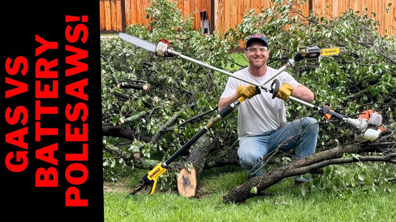 Gas vs Battery Pole Chainsaw Review, Dewalt & Proyama