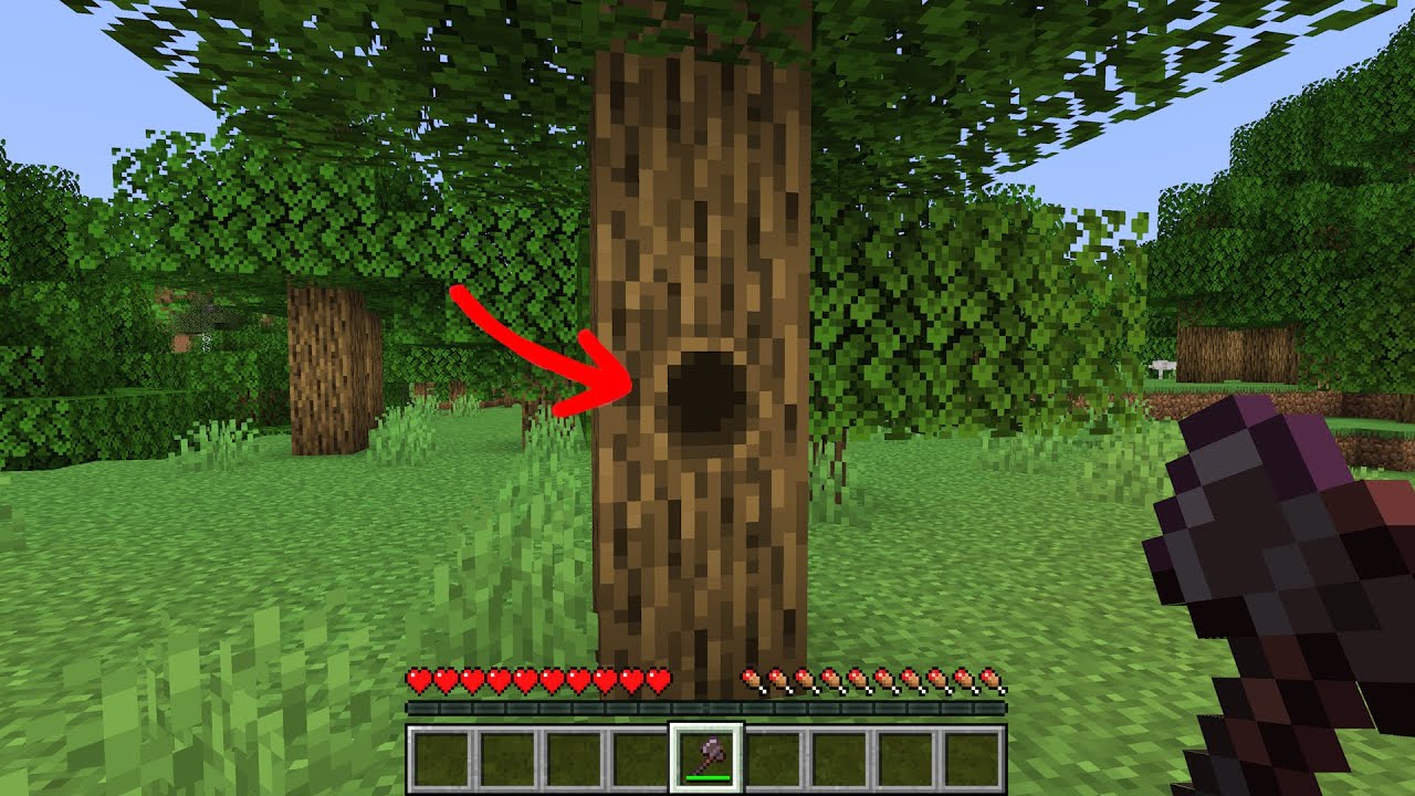 what is in that hole?