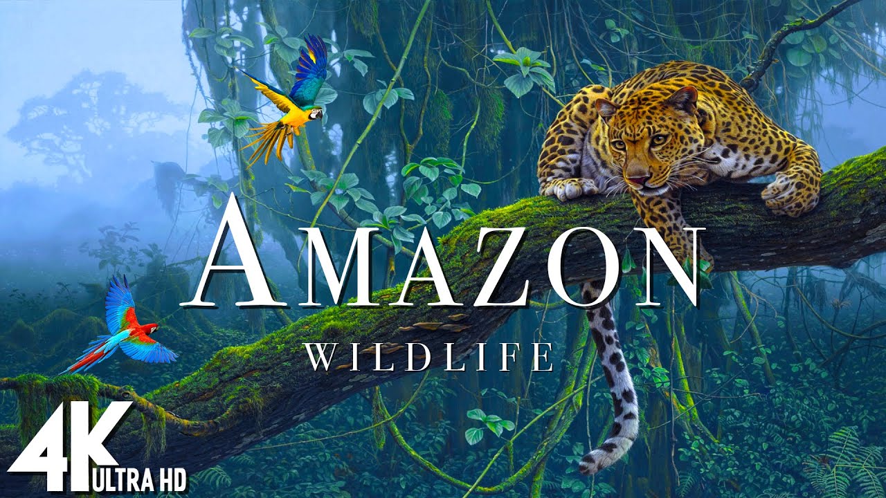 🌿 Amazon Wildlife 4K UHD | Jungle Animals & Nature Sounds from the Amazon Rainforest | Relaxing Film