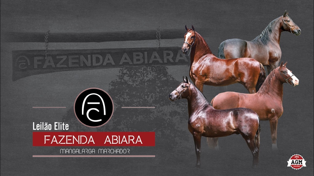 PREGÃO - FAZENDA ABIARA