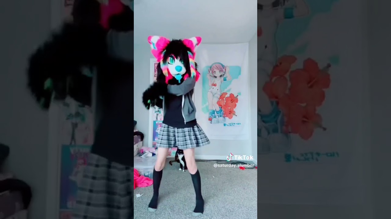 Furry Dance Compilation #1