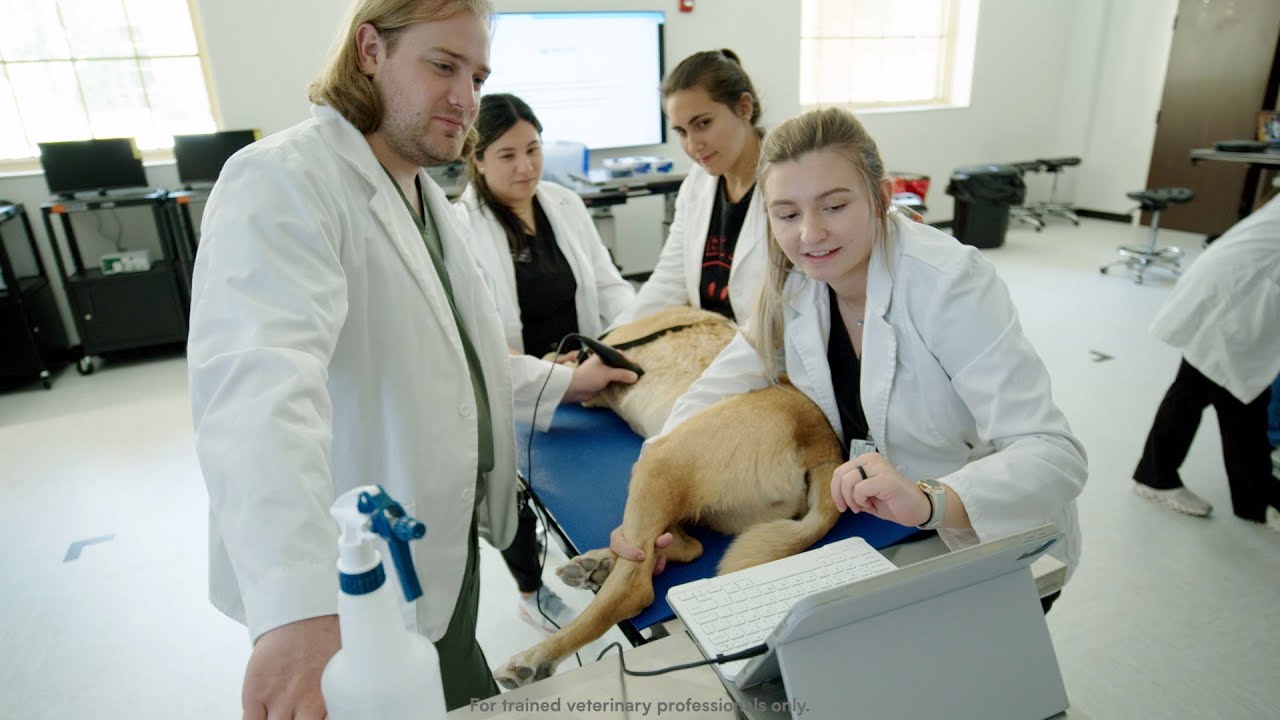Empowering veterinary students through our one-to-one model | Butterfly Network