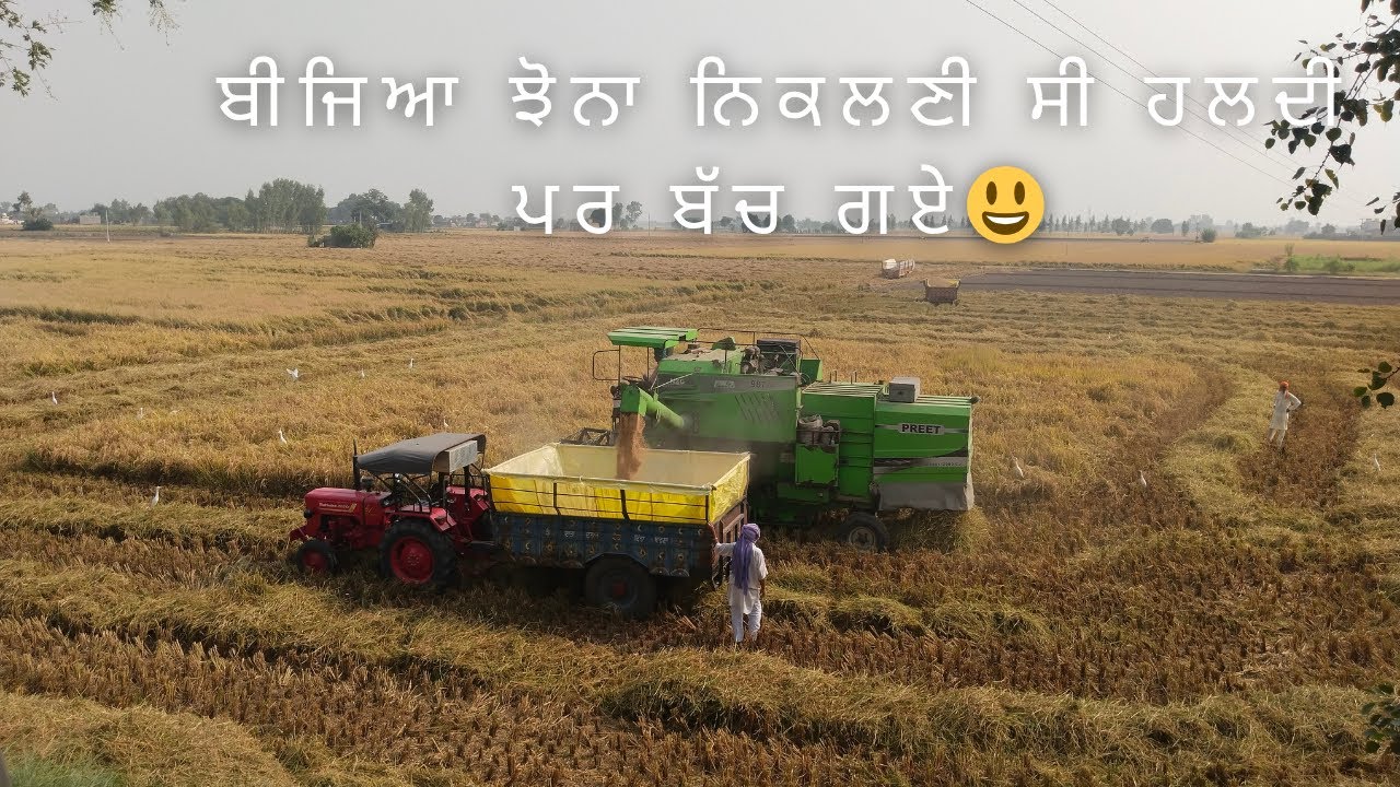 Jhone Di Vadhi | Paddy  Crop Cutting In Punjab | Munji cutting |