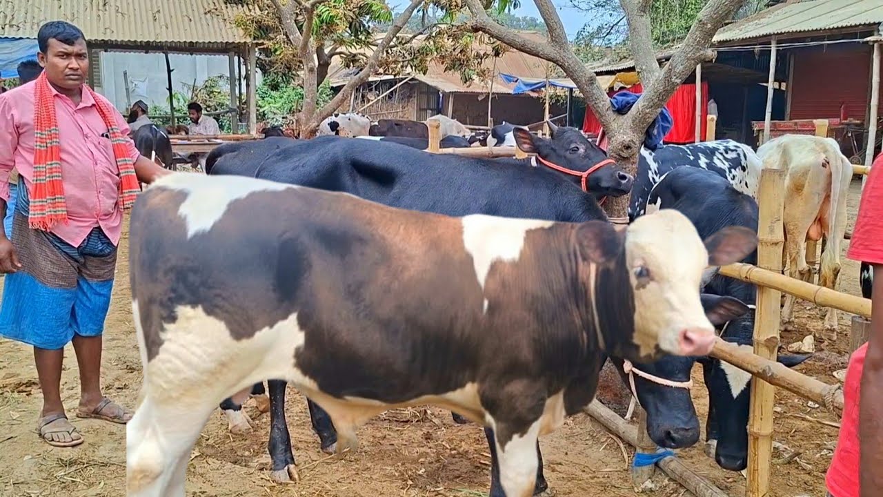 @আজ ৯ মার্চ
