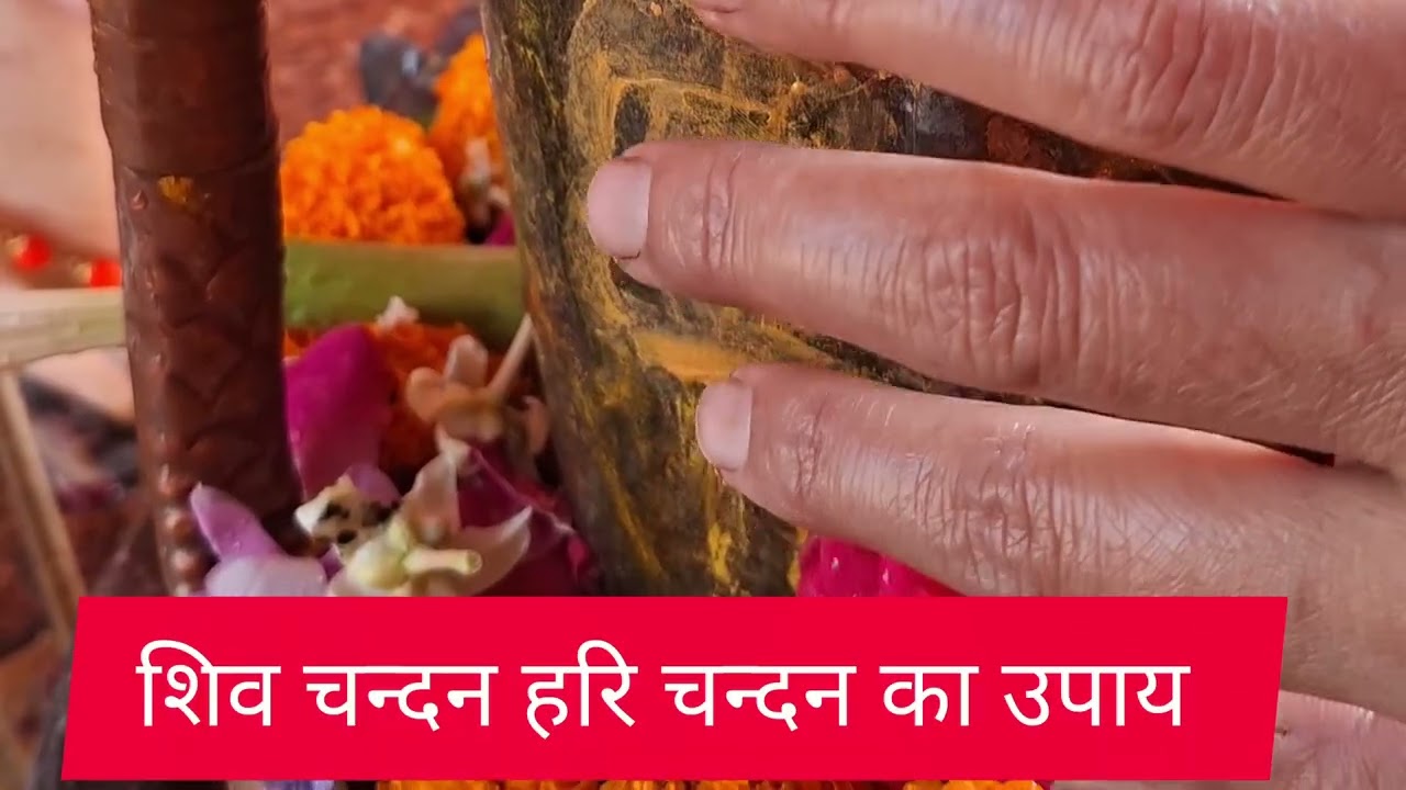 शिव चन्दन और हरि चन्दन के उपाय ओर कैसे बनाए 