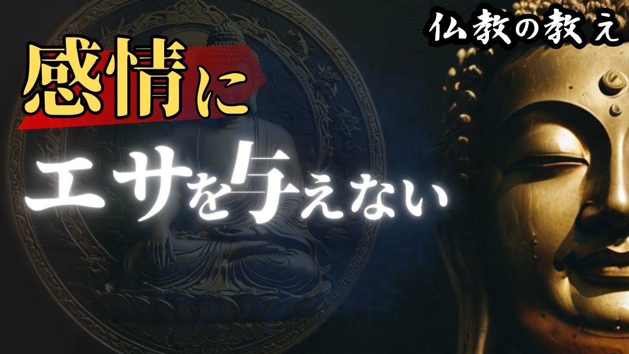 【八正道】感情・思考を観察するということ～感情にエサ(邪思惟)を与えない～｜仏教の教え