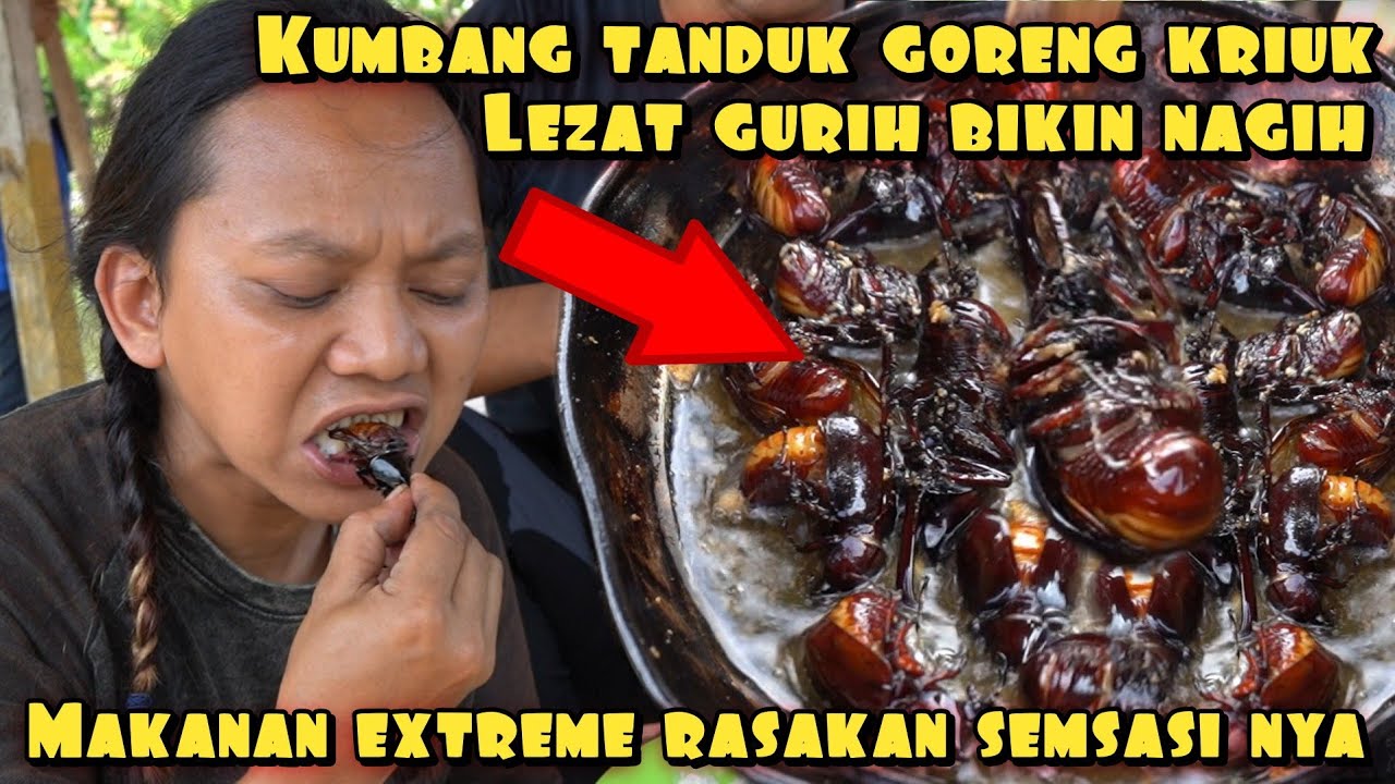 RASAKAN SENSASI MAKAN KUMBANG TANDUK GORENG