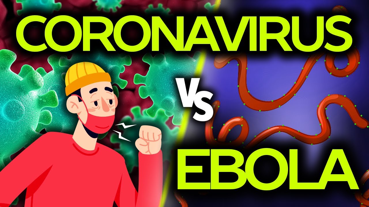 Coronavirus vs Ebola - Which Virus is more dangerous to humans? - Differences & Information