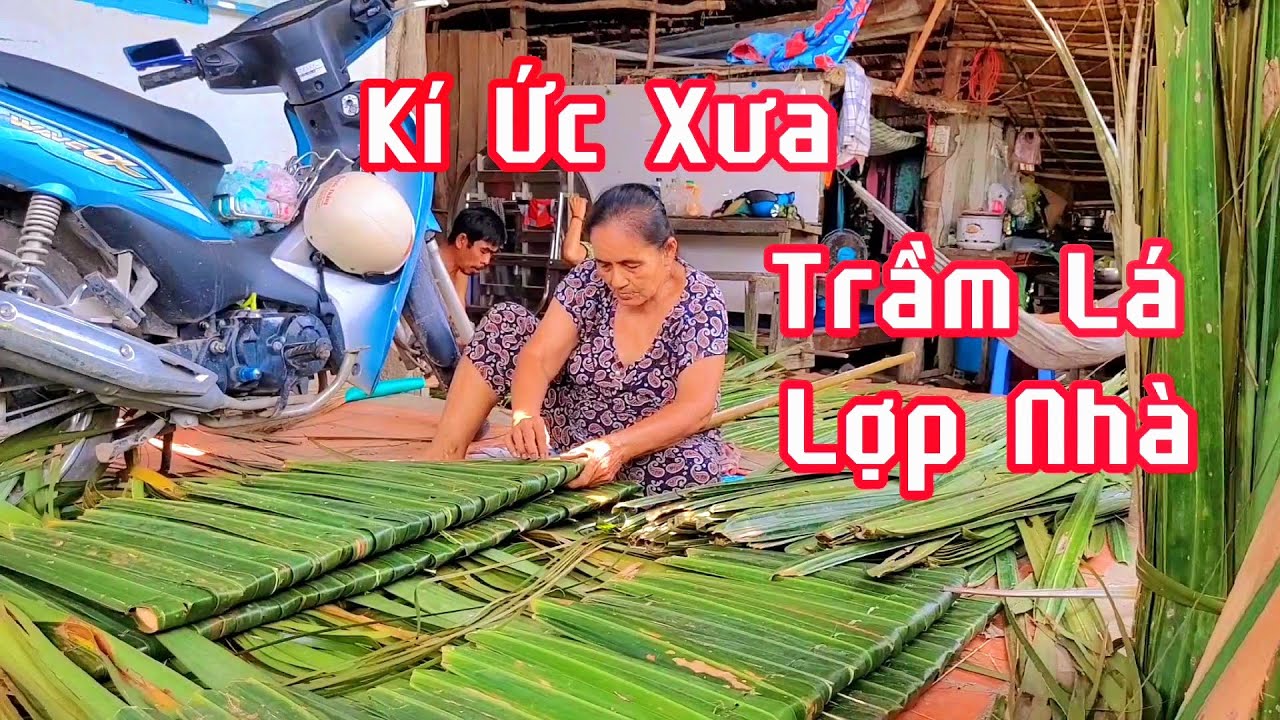 Kí Ức Quê/ Cách Trầm Lá Lợp Nhà Của Người Miền Tây