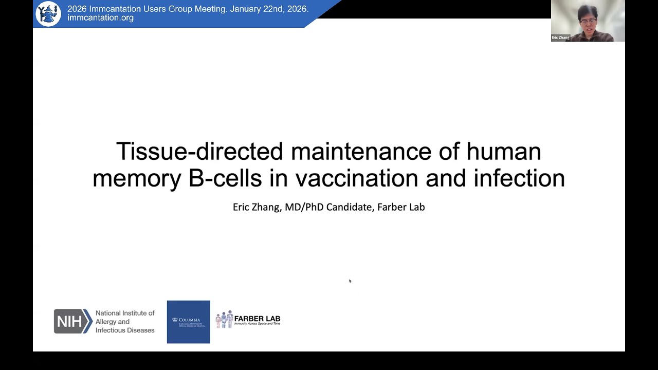 Tissue-directed maintenance of vaccine-specific human B-cell memory