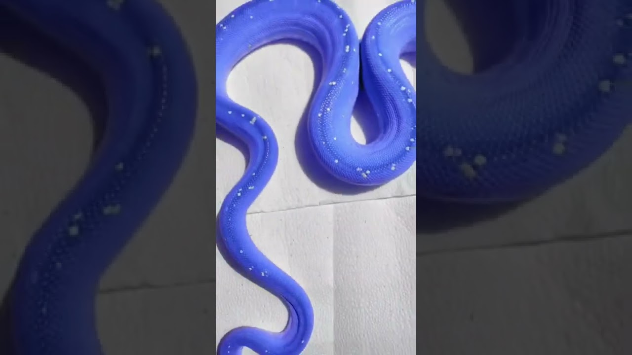 Lego snake 🐍🫐