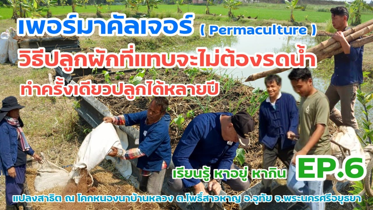 เพอร์มาคัลเจอร์ (Permaculture) !!! วิธีทำแปลงปลูกผักที่แทบจะไม่ต้องรดน้ำ ทำครั้งเดียวปลูกได้หลายปี