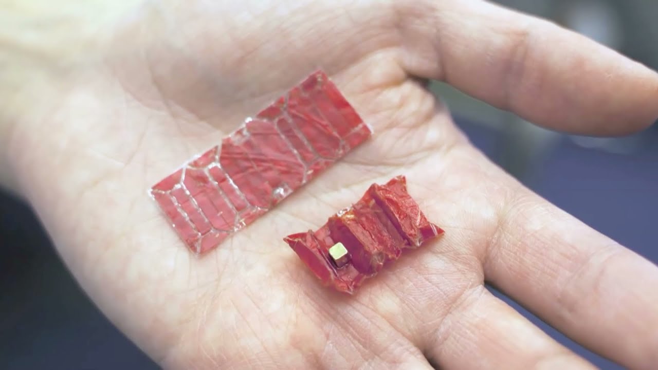 The Folding Robot That Could Revolutionize Medicine