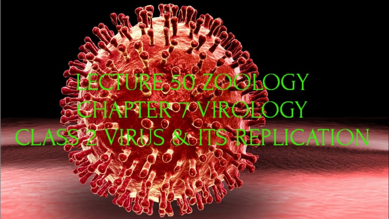 LECTURE 50 ZOOLOGY CHAPTER 7 VIROLOGY CLASS 2 VIRUS & ITS REPLICATION 