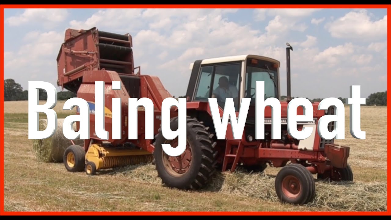 International 886 and BR7070 rolling wheat 2019