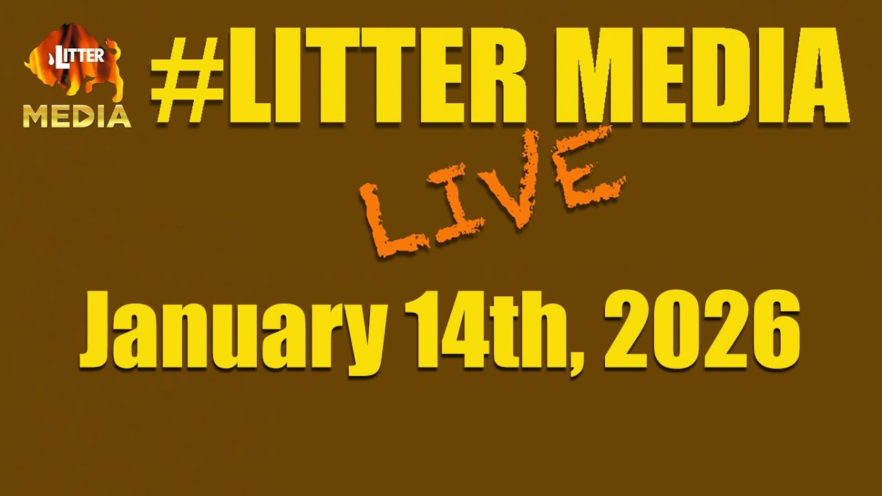 #LitterMediaLIVE в среду, 14 января 2026 года