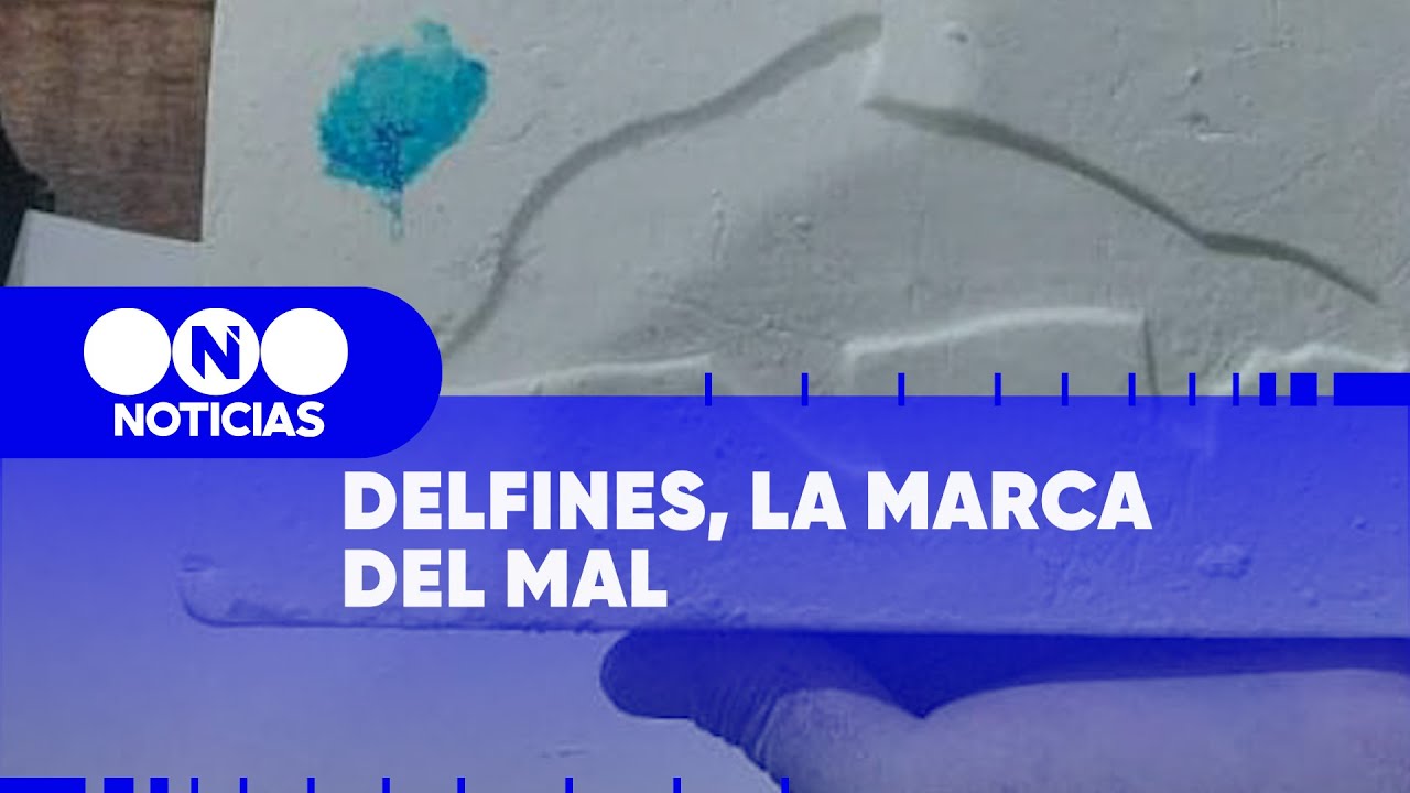 COCAÍNA y DELFINES, el SELLO del PATRÓN DEL NORTE - Telefe Noticias
