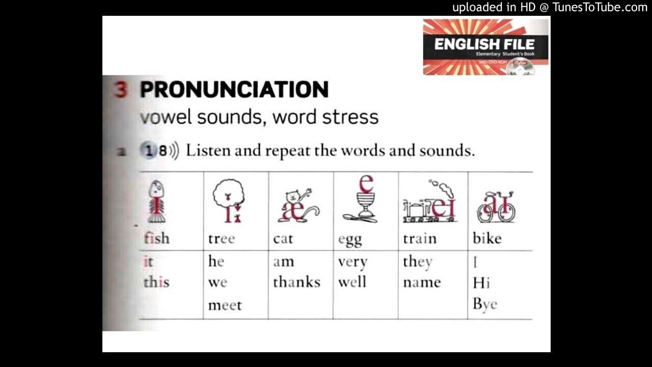 1A 1.8 Pronunciation: vowel sounds