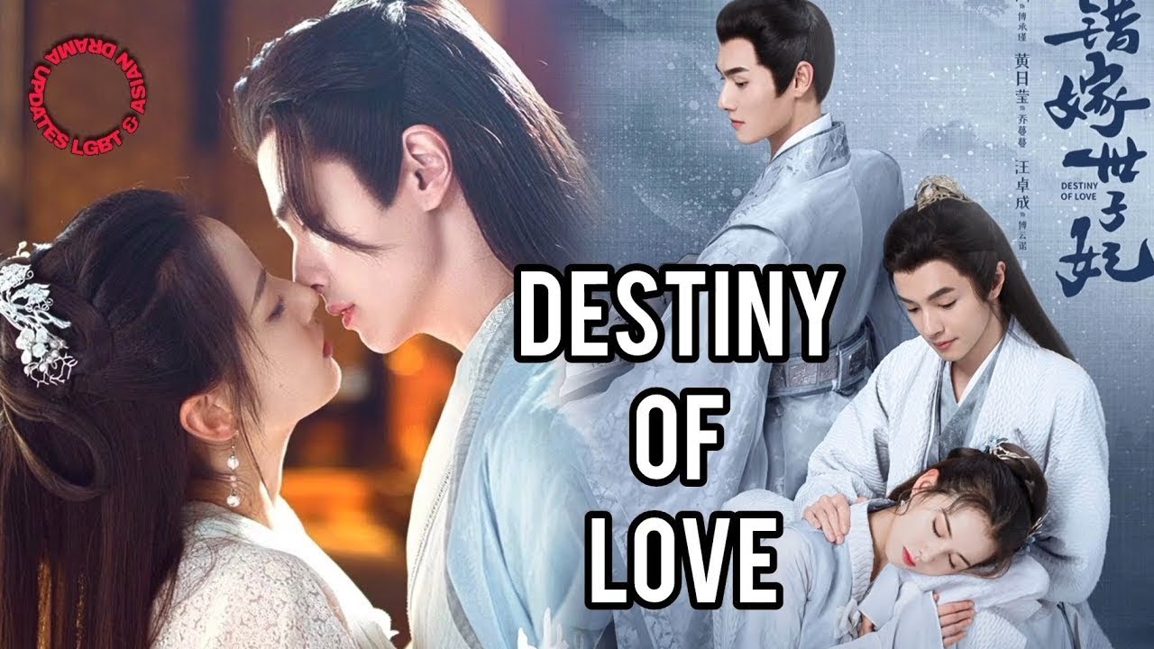 Dynasty Warriors Origins SDTNGUYENDebt Ep 27 Battle of Xiaopei (Feat. Destiny of Love 2025)